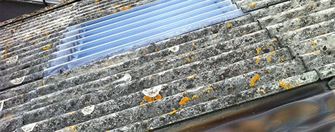 Roofing & Cladding - Repair & Maintenance